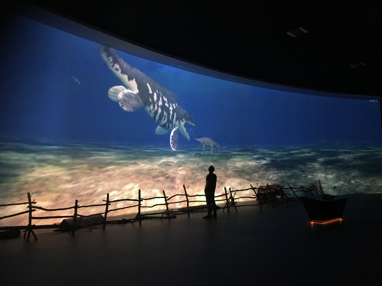Interactive Prehistoric Sea Creatures in Gıant Screen