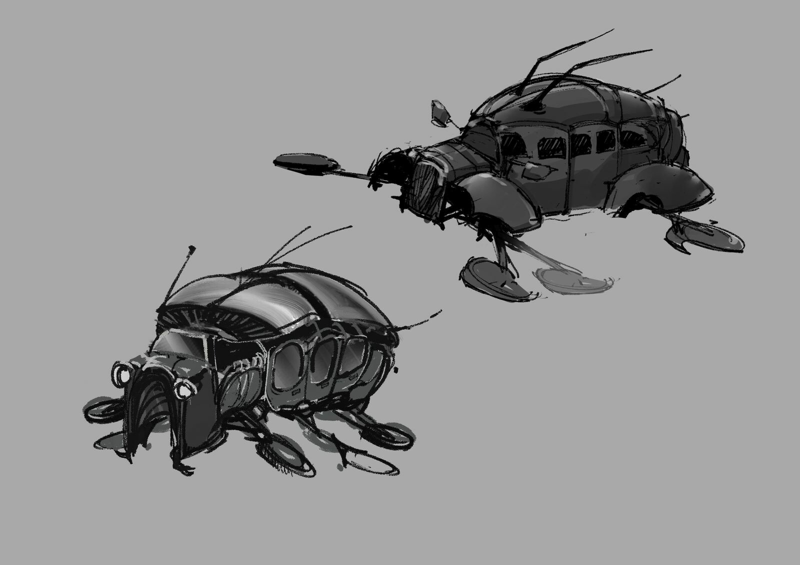 MMG insect cars