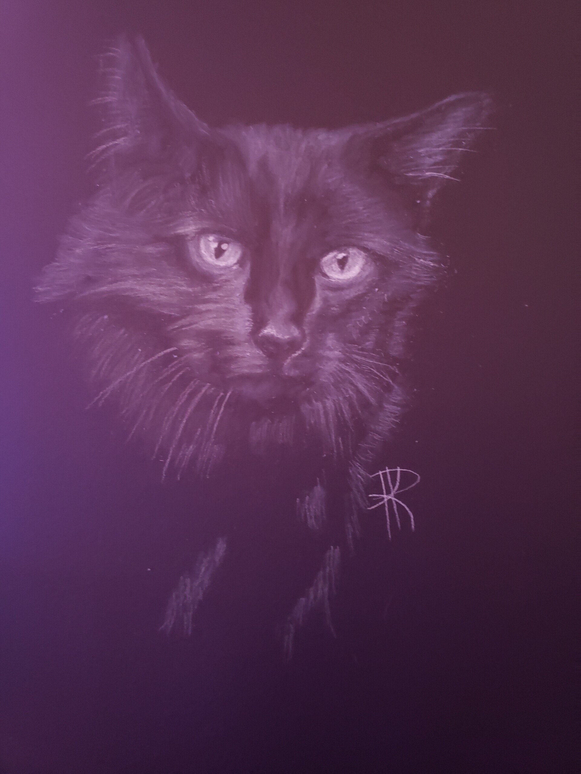 Artstation Black Cat Portrait Ii Kristen Crate