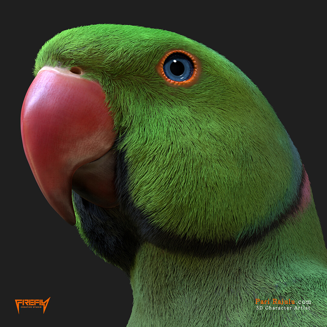 Artstation Parrot Ish Humans Pari Rajulu