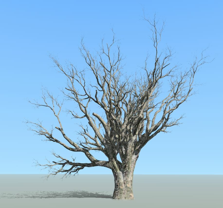 ArtStation - Multi Trunck Tree (SpeedTree)