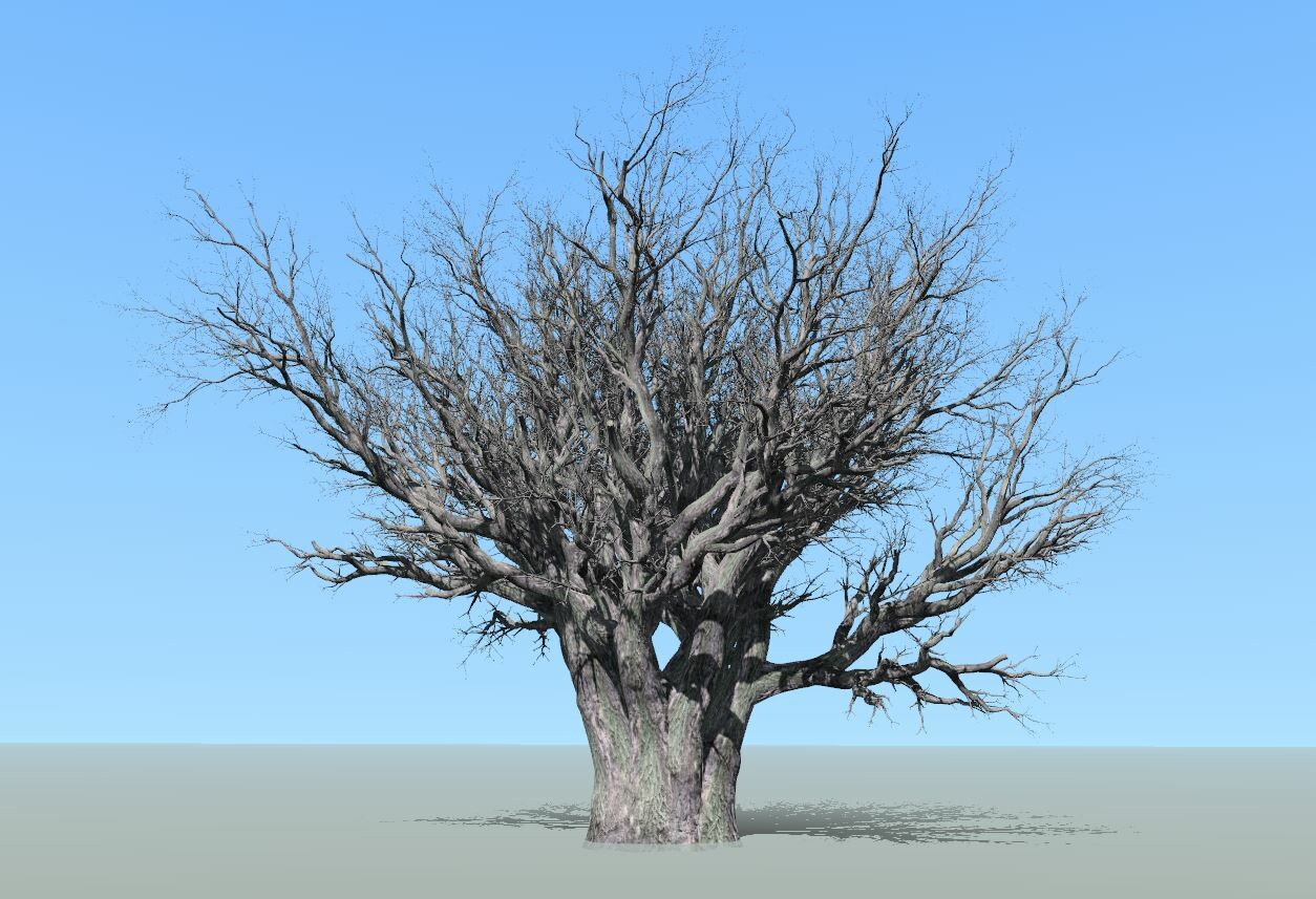 ArtStation - Multi Trunk Tree