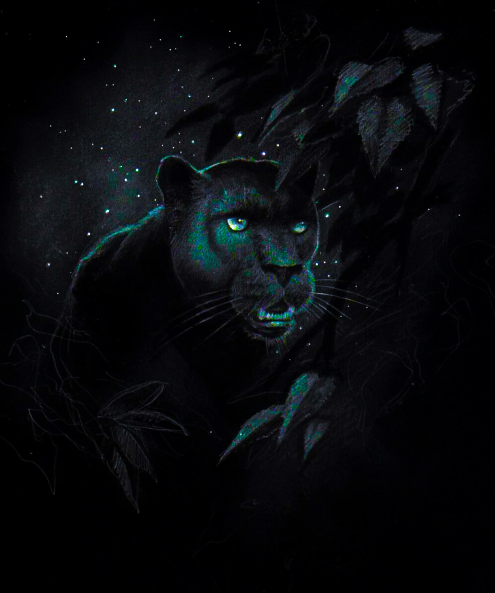 ArtStation - Panther Invert