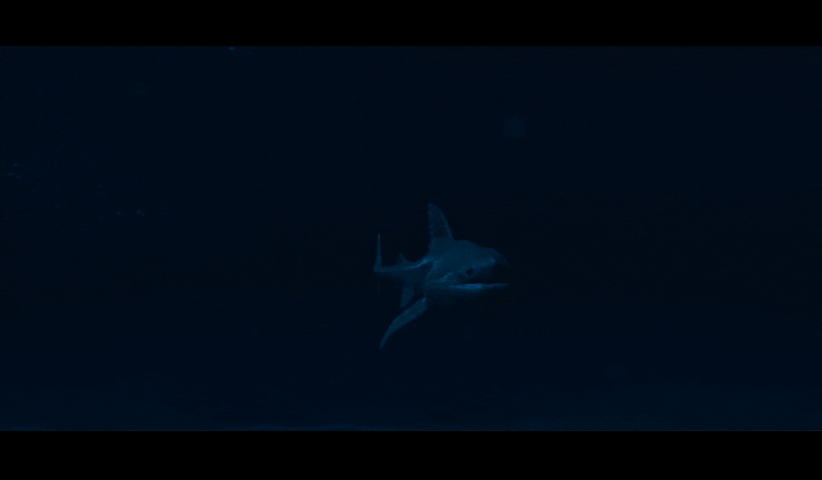 ArtStation - Basking Shark VR Experience