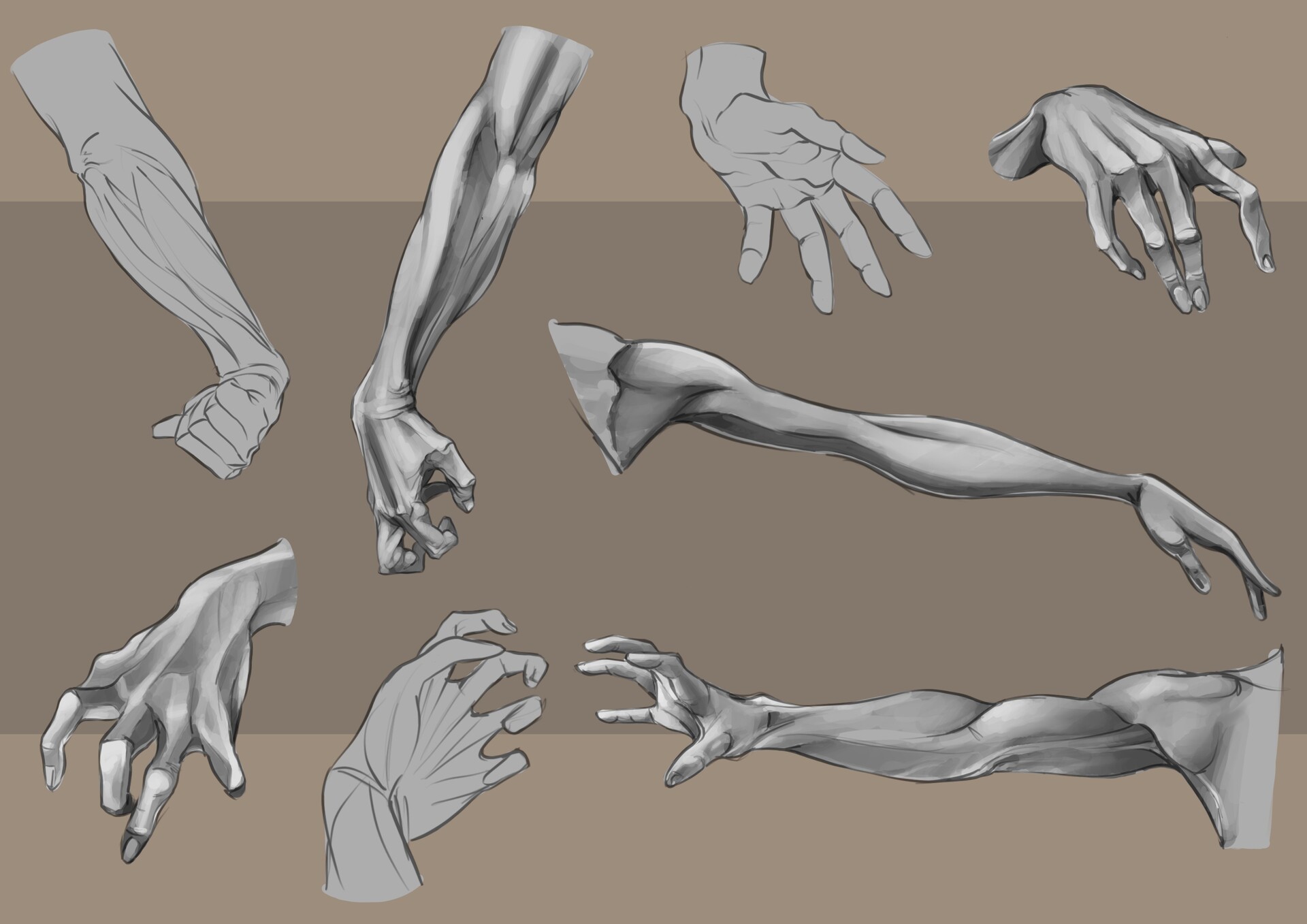 ArtStation Arm and Hand Anatomy Studies
