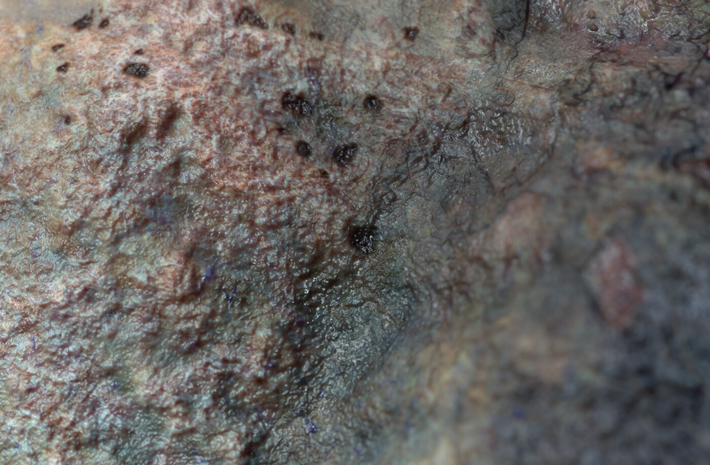 Zombie Skin micro detail closeup 3