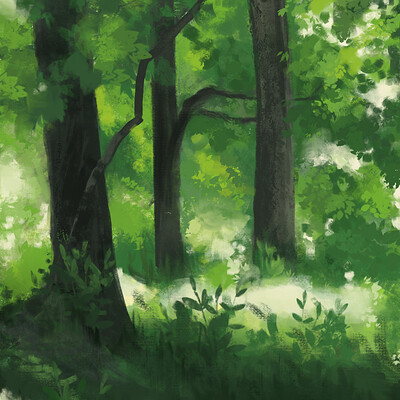 Bright Forest