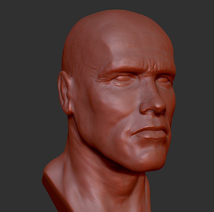 Quick Arnold/Terminator zbrush sketch/practice... trying to learn to capture likeness.