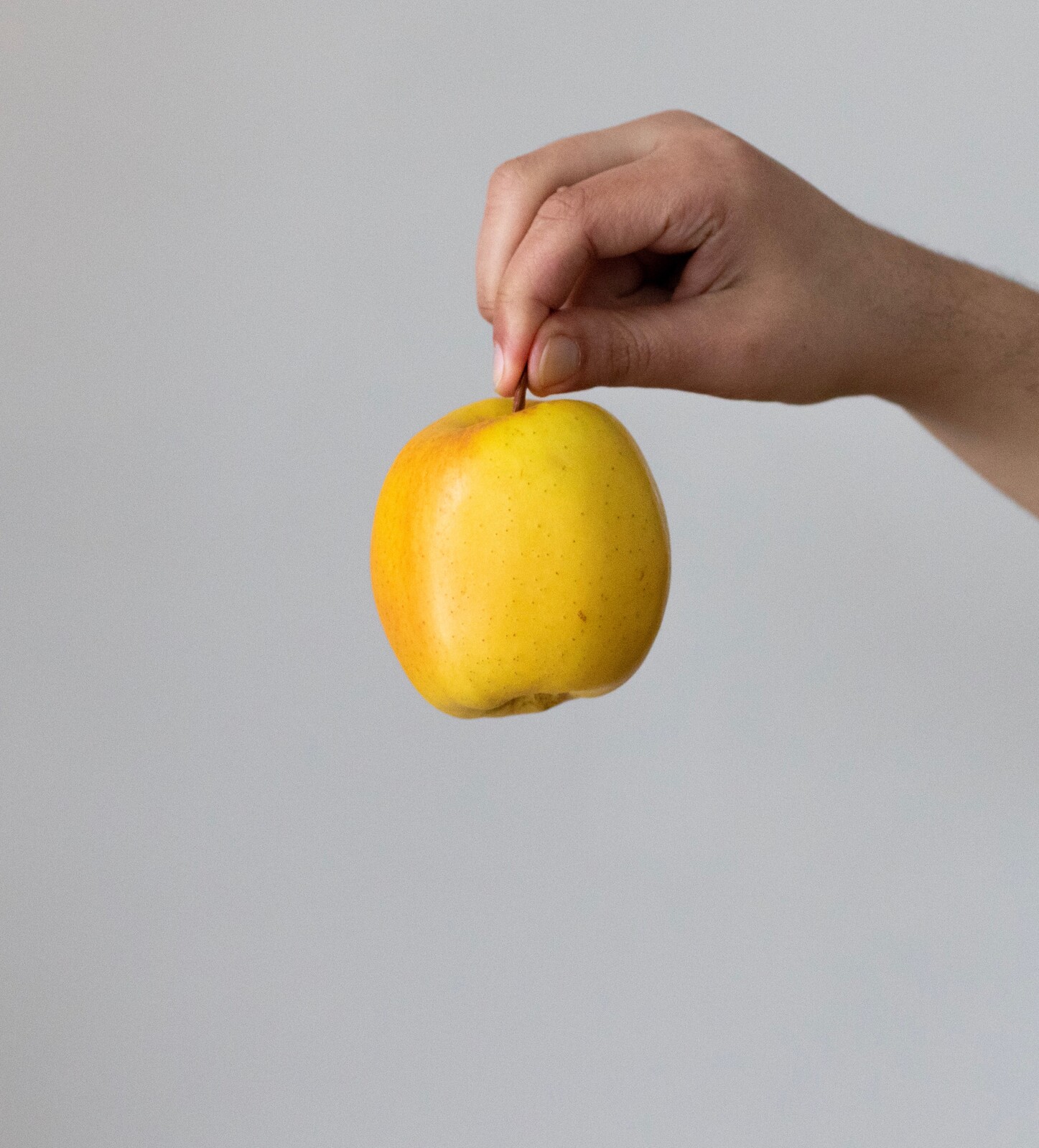 Apple Mood - photo reference