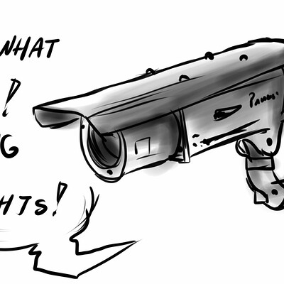 Christina rena surveillance cam
