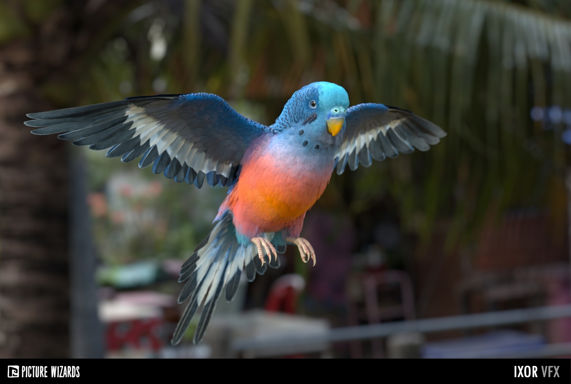 Artstation Custom Colored Budgie Parrot Grzegorz Flaga