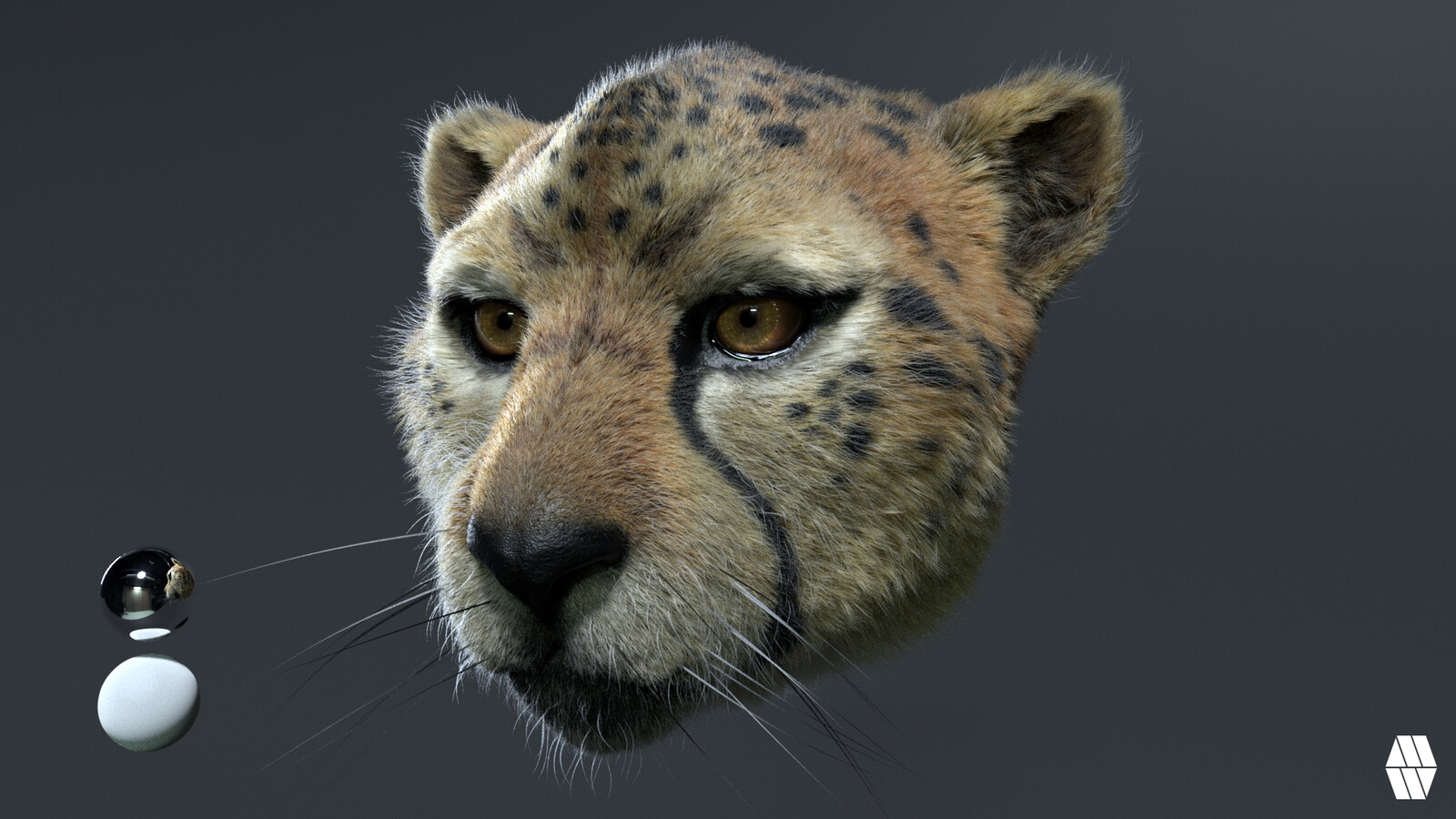 HDRI Studio lit 03