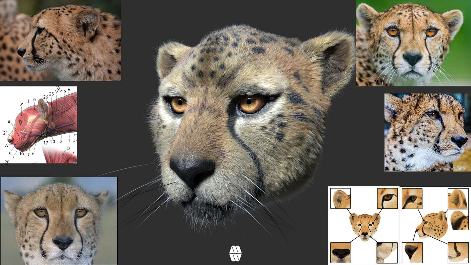 Reference Sheet
