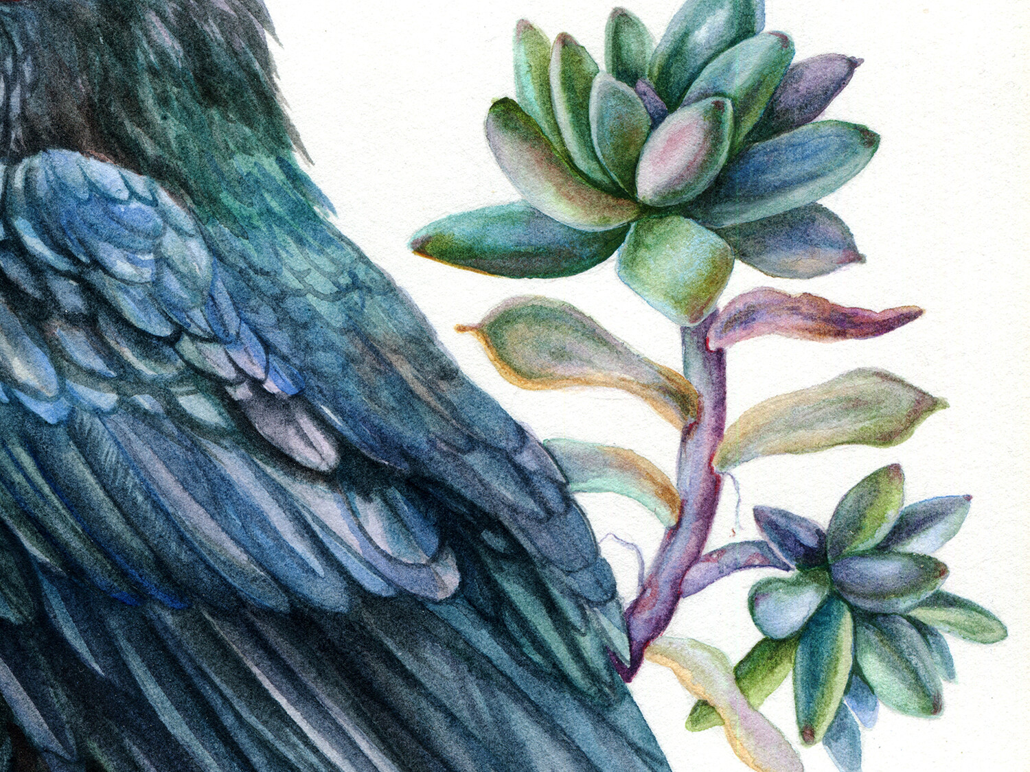 Huginn &amp; Muninn. The details.