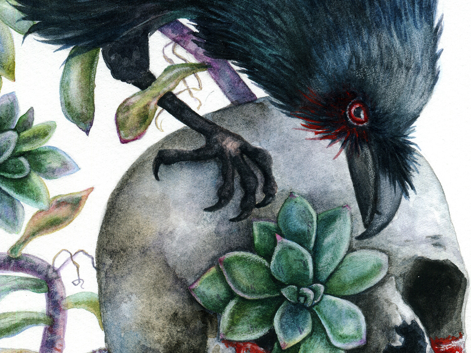 Huginn &amp; Muninn. The details.