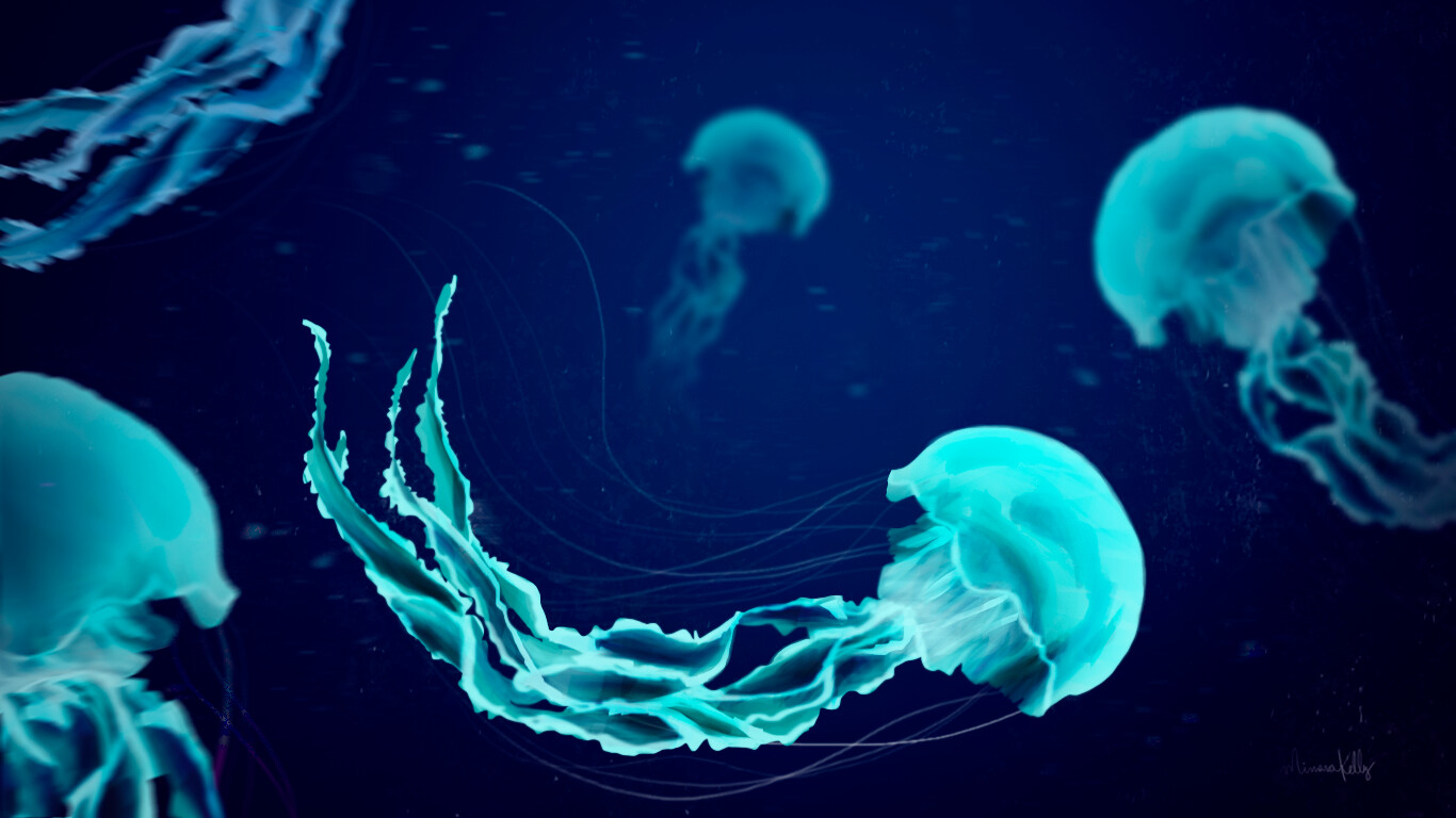 ArtStation - Jellyfish