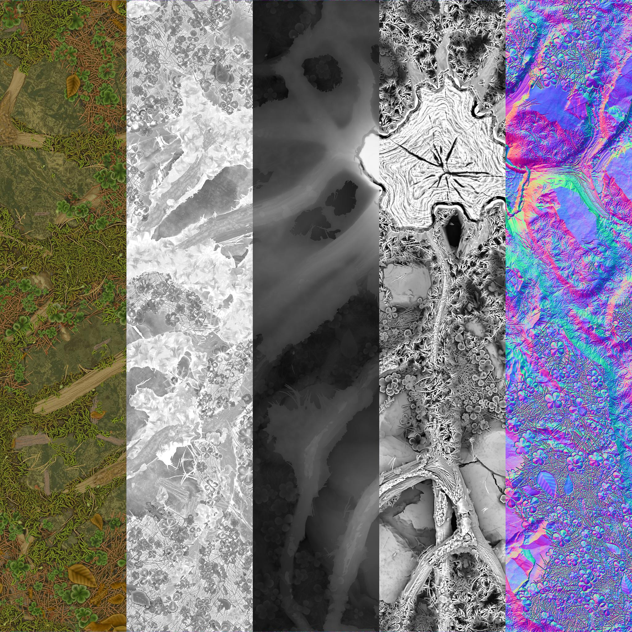 Texture Maps
