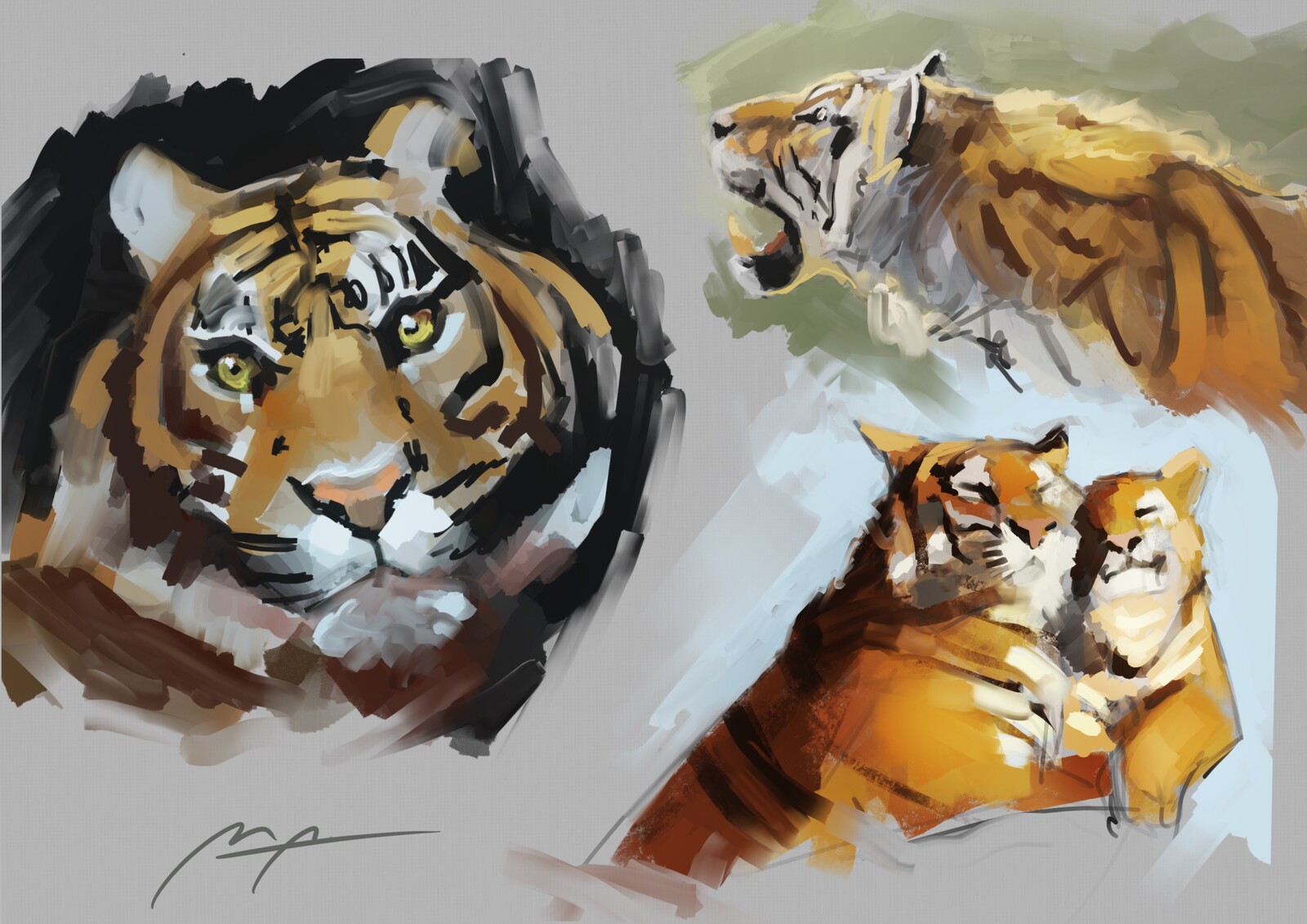 Tiger sketches
