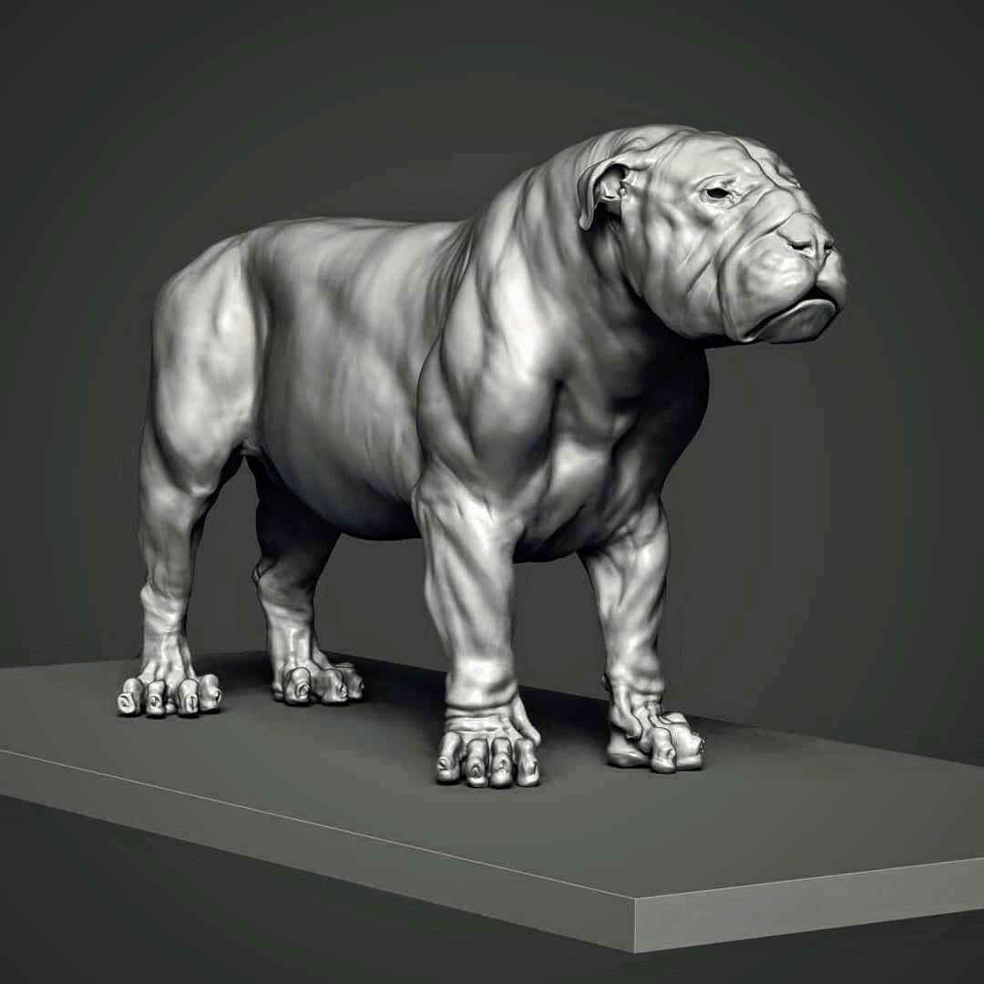 What's amazing about a universal topo workflow, is that you can do an English Bull Lion pretty easily... 