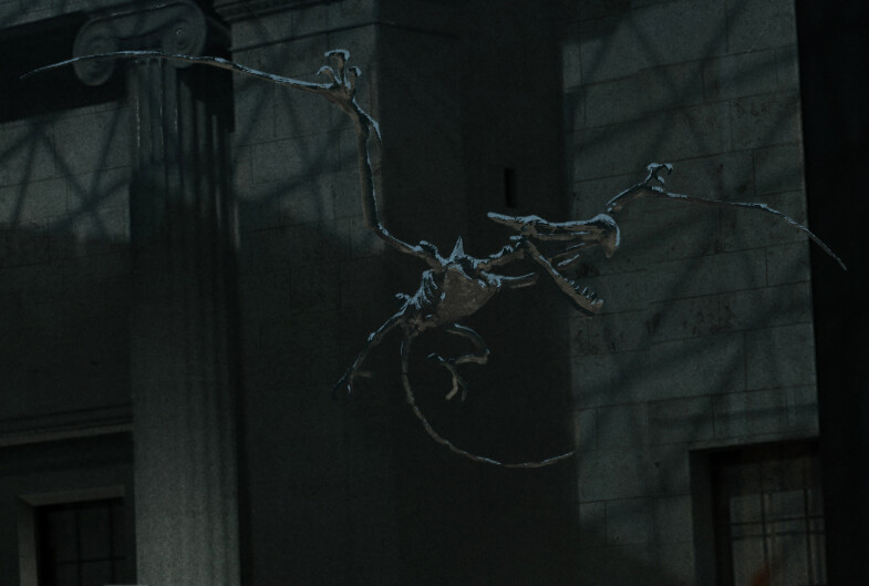 Aerodactyl skeleton. 