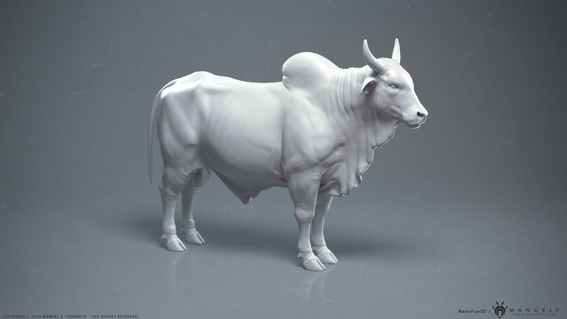 bull f