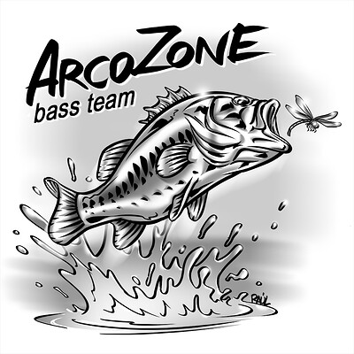 Raul pina vicente arcozonebassteam