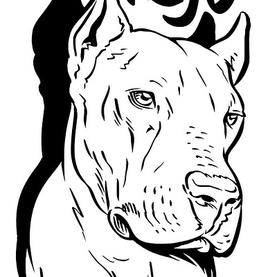 Raul pina vicente matilhadotejo