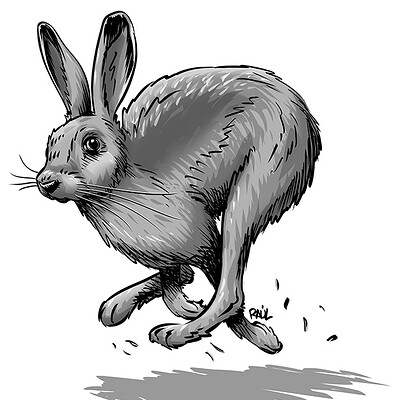 Raul pina vicente lebre