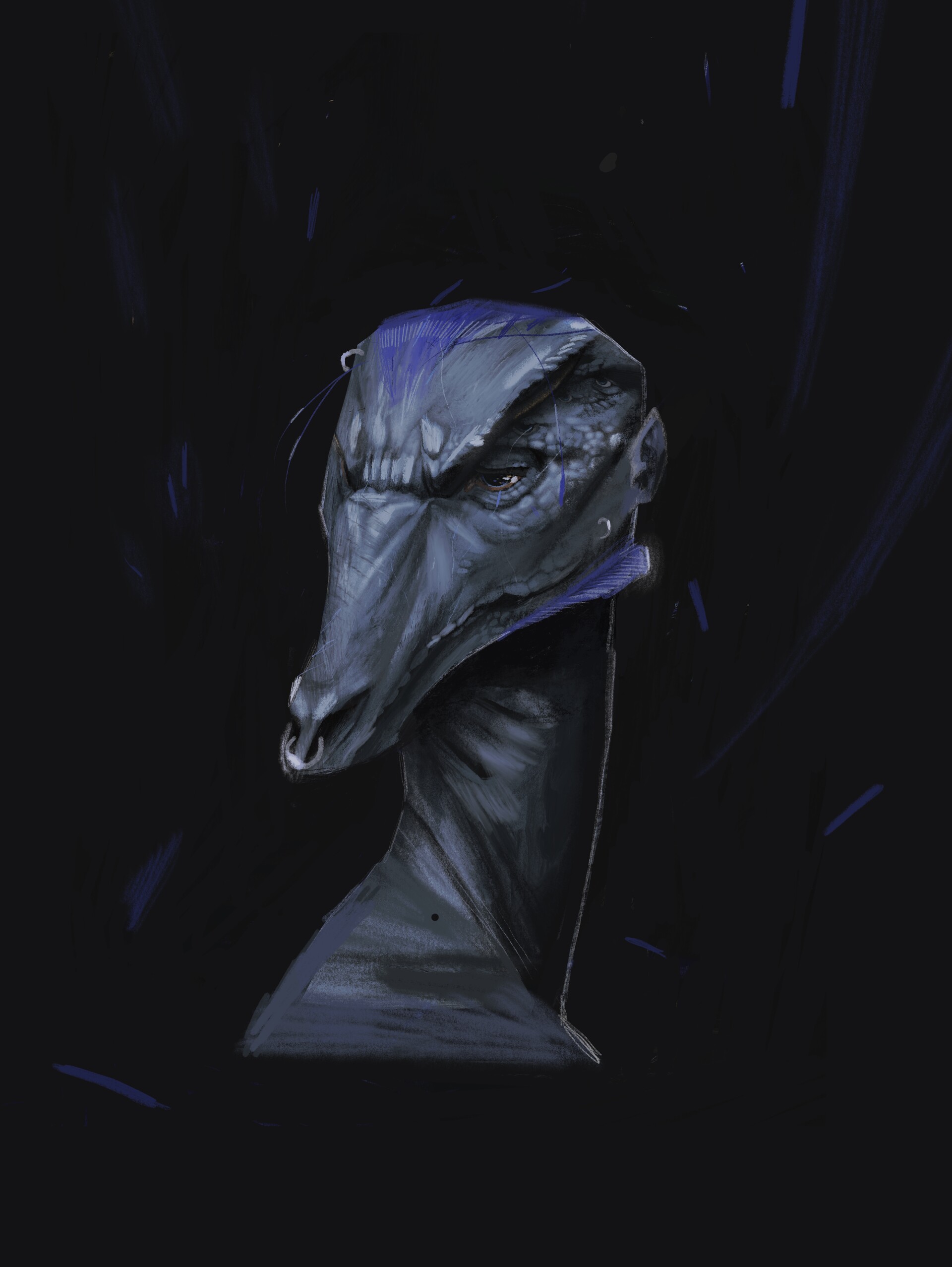 Gabriel Paquet Defi 365 Jours De Dessin 365 Days Drawing Challenge