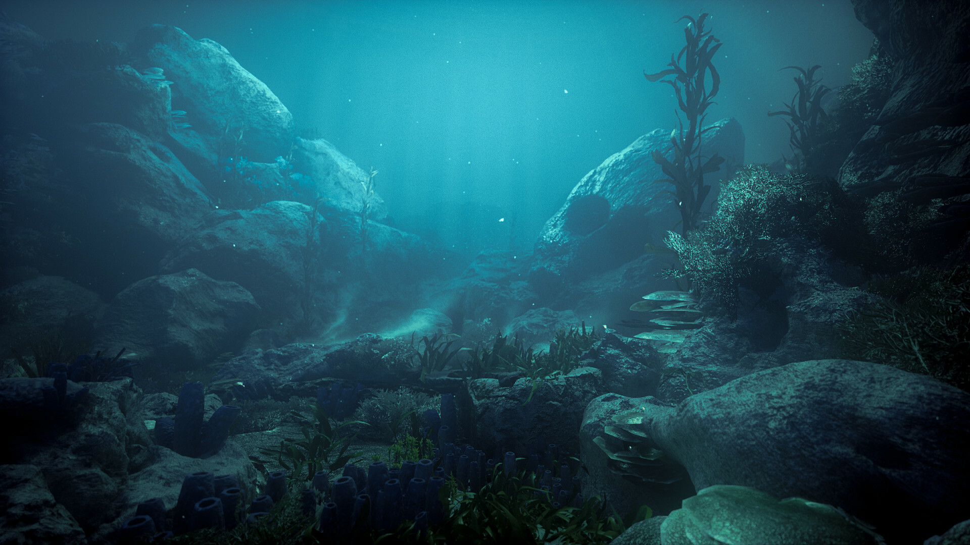 Adam Pasek Ocean Floor