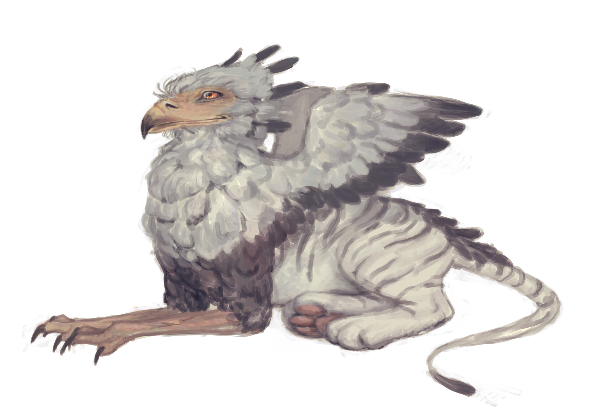 Federica Litrico - baby gryphon