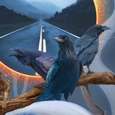 Irem erbilir ravens
