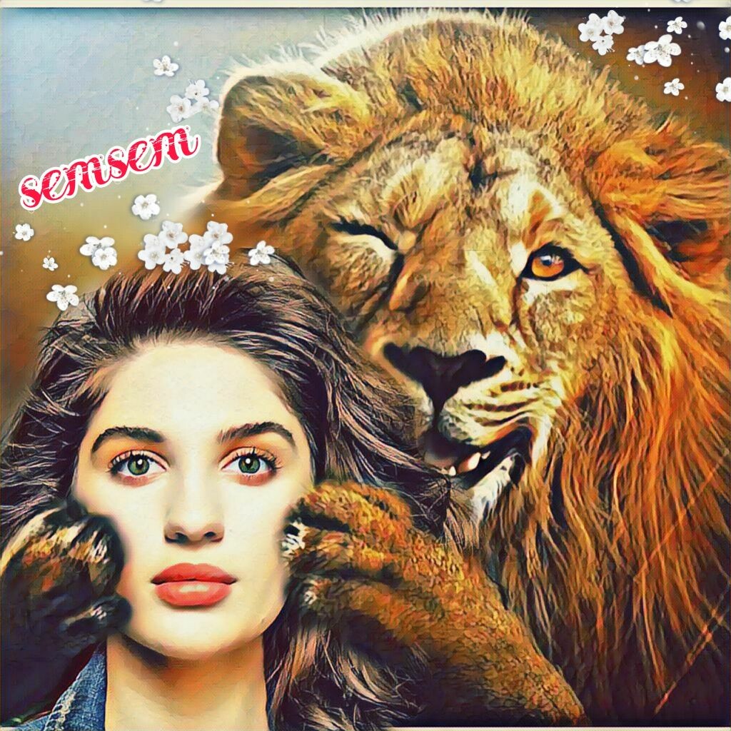 sumaya alhassany
