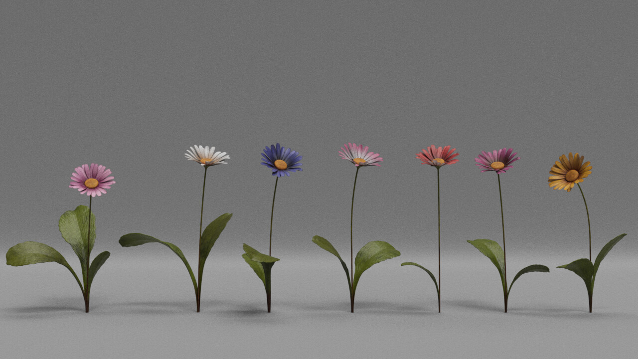 daisy flower little doctor short film