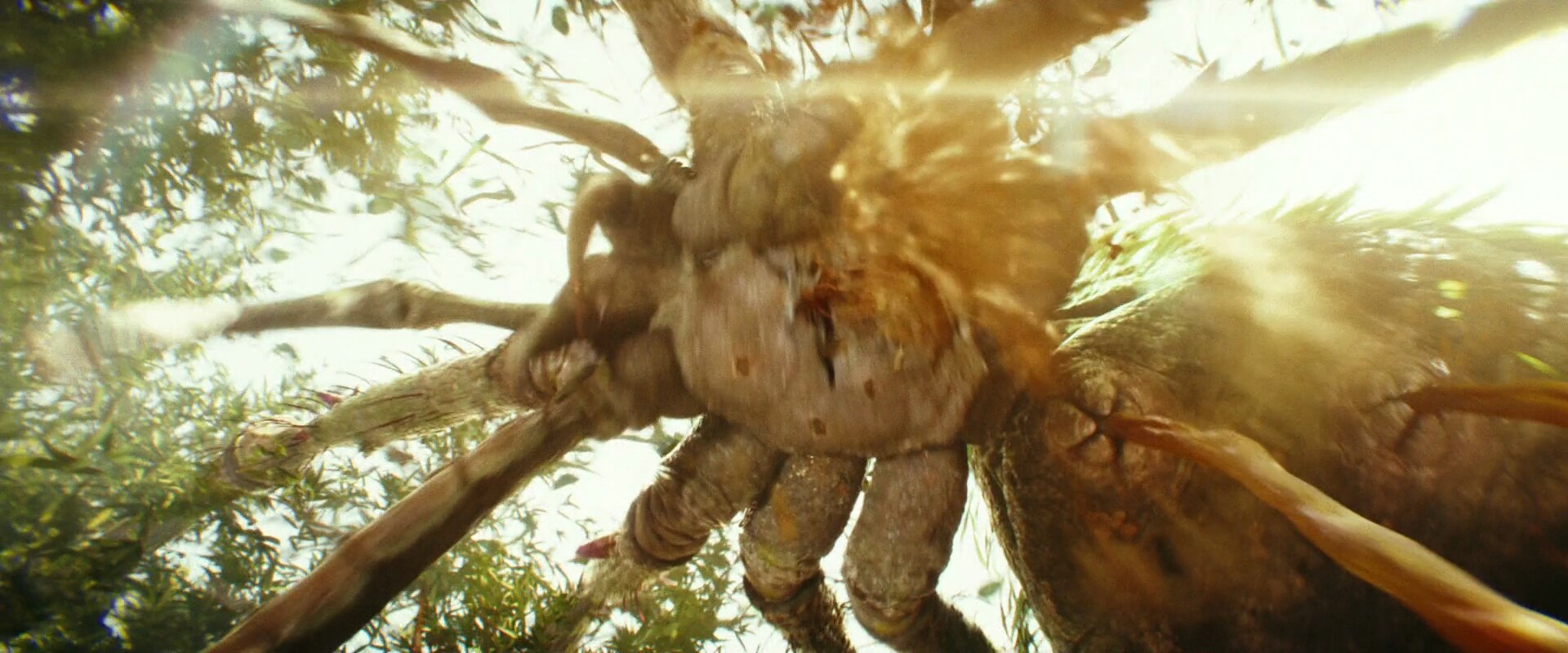 Elvin Siew Kong Skull Island