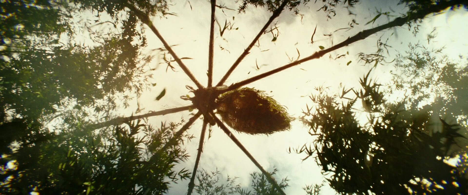 Конг паук. Конг остров черепа монстры мать долгоножка. Мать долгоножка конг остров черепа. Паук кумонга. Мать долгоножка конг остров черепа.