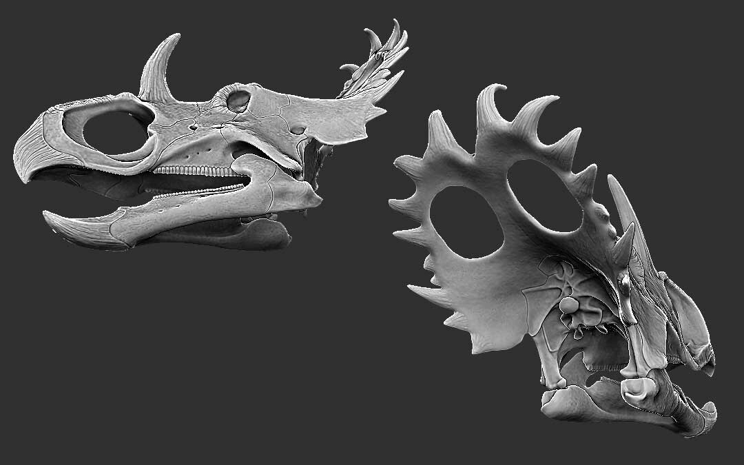 beasts of the mesozoic sinoceratops