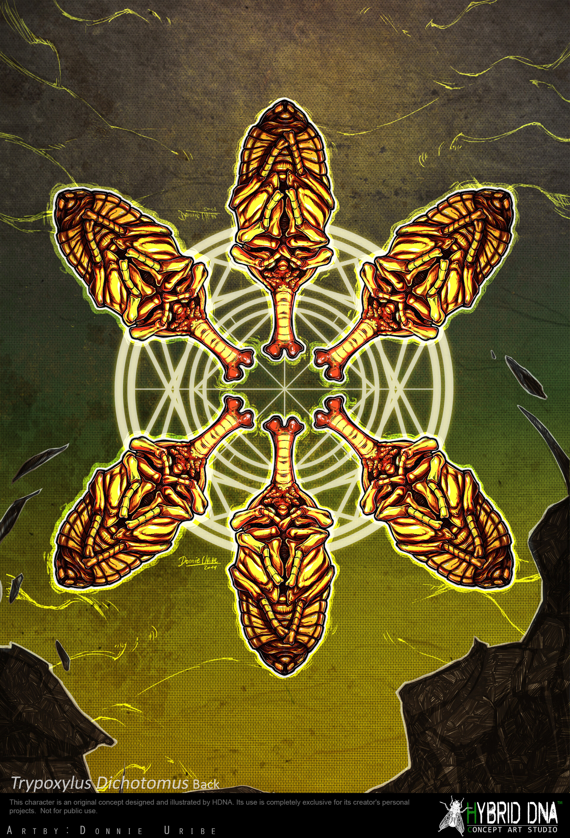 Hybrid DNA Trypoxylus dichotomus