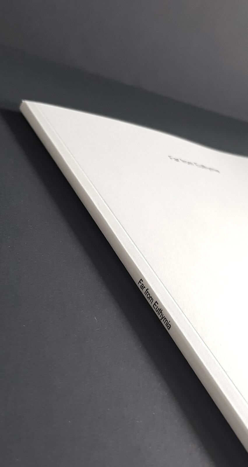 The book was printed in 30 copies.  The cover design was made to be empty, boring and white. Something from a hospital waiting room.