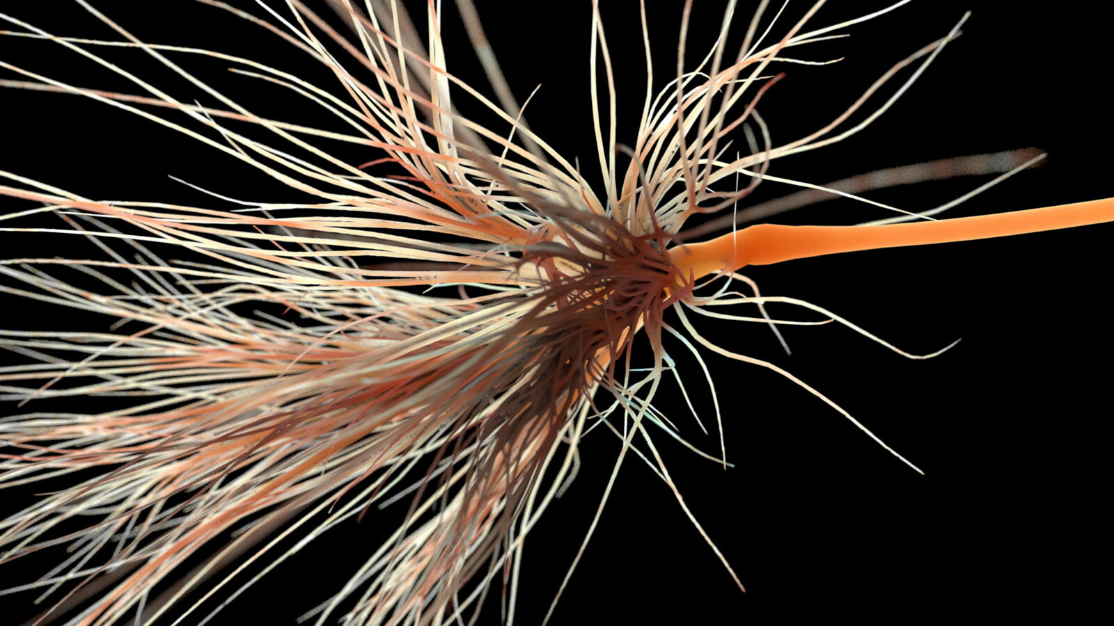 Detailed Model of a Neuron