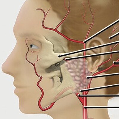 Anatomic variation of the superficial temporal artery
