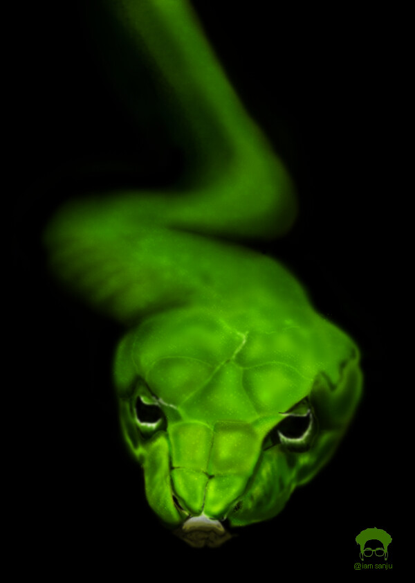 Artstation Digital Painting Snake Sanjay Kumar