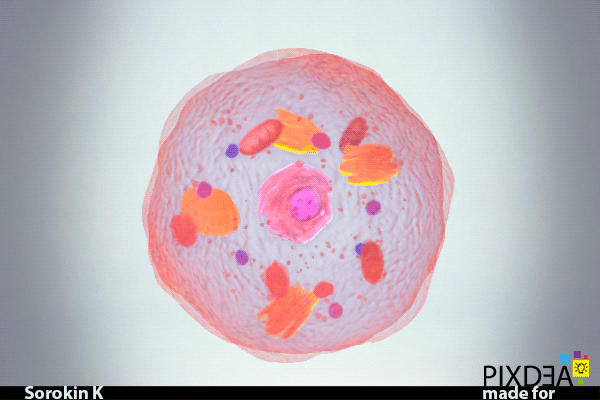 ArtStation - Cells and organelles