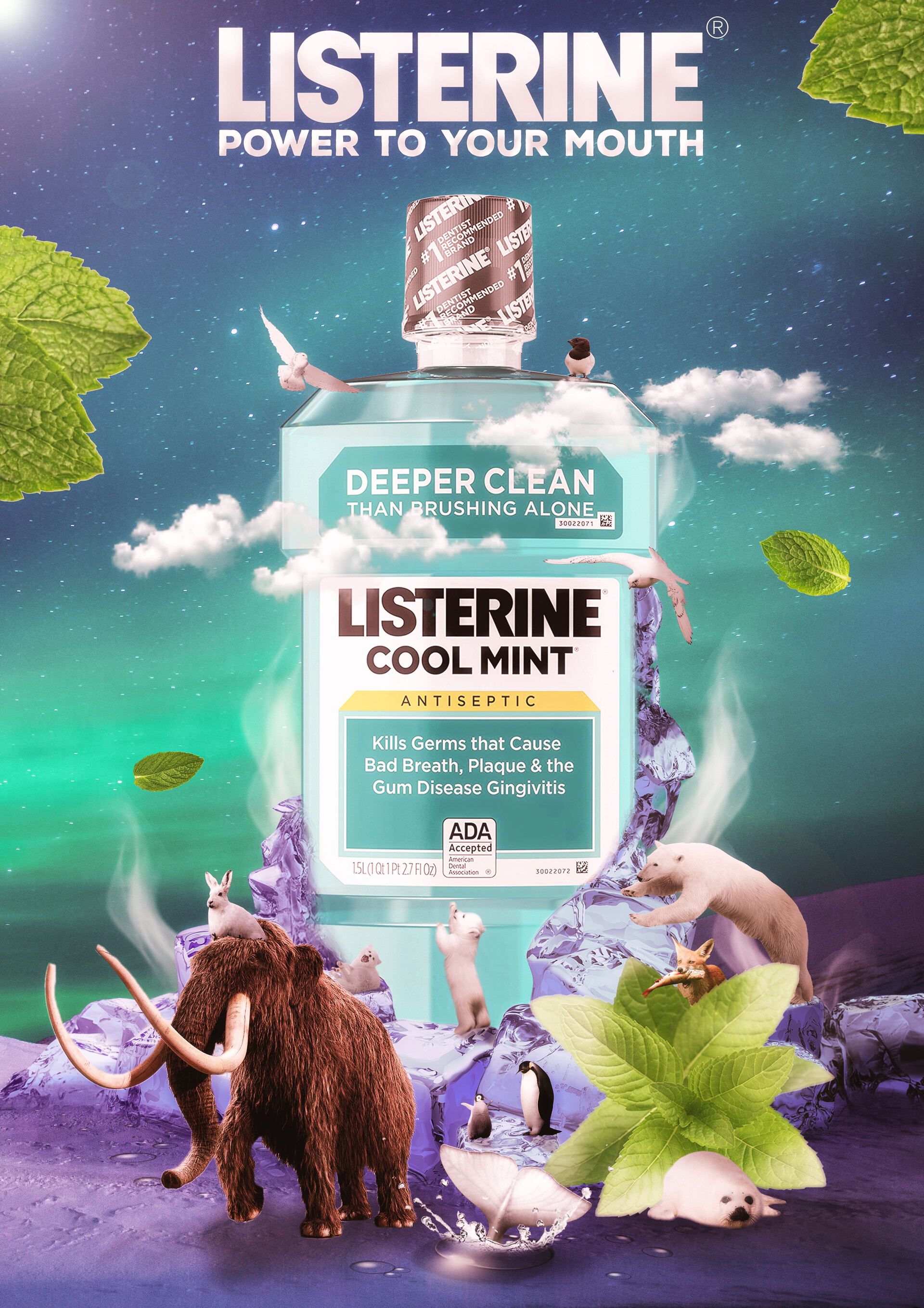 Listerine Mouth Wash (Mint)