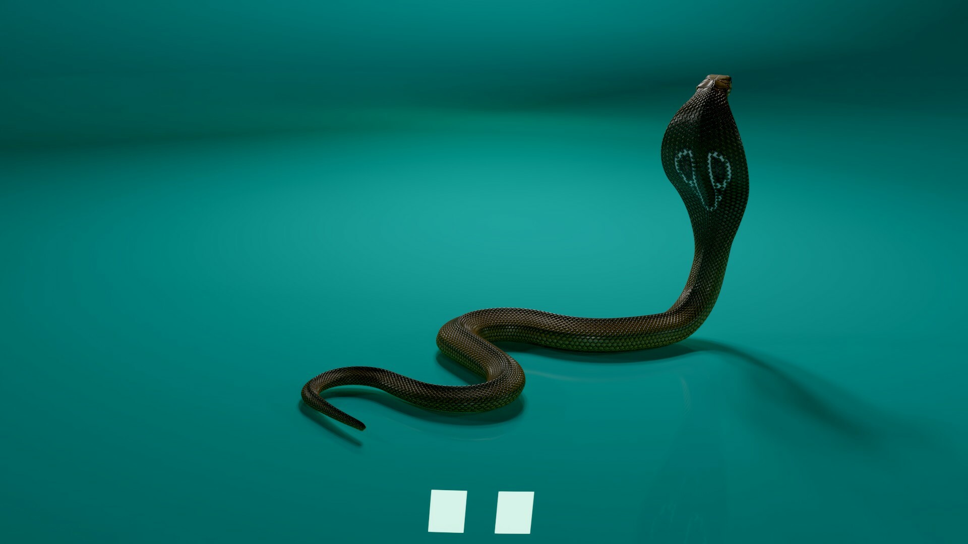 Artstation The 3d Model Of King Cobra Stephan Plotnicov