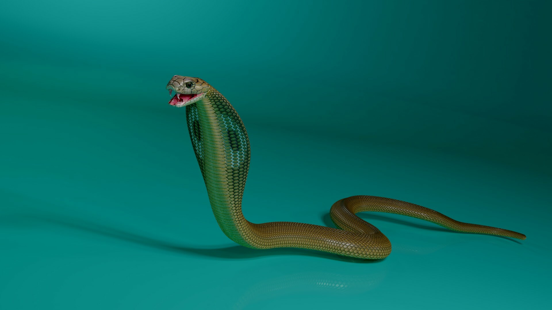 Artstation The 3d Model Of King Cobra Stephan Plotnicov