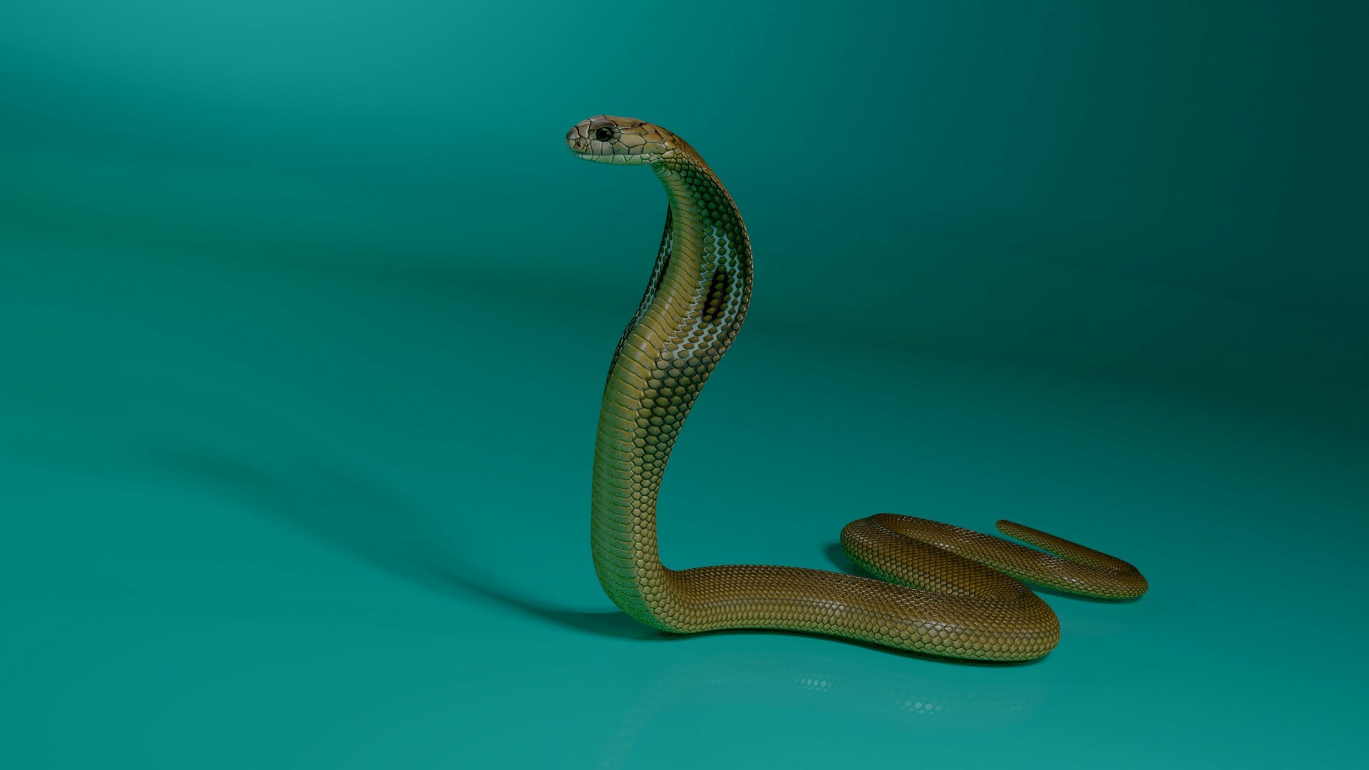Artstation The 3d Model Of King Cobra Stephan Plotnicov