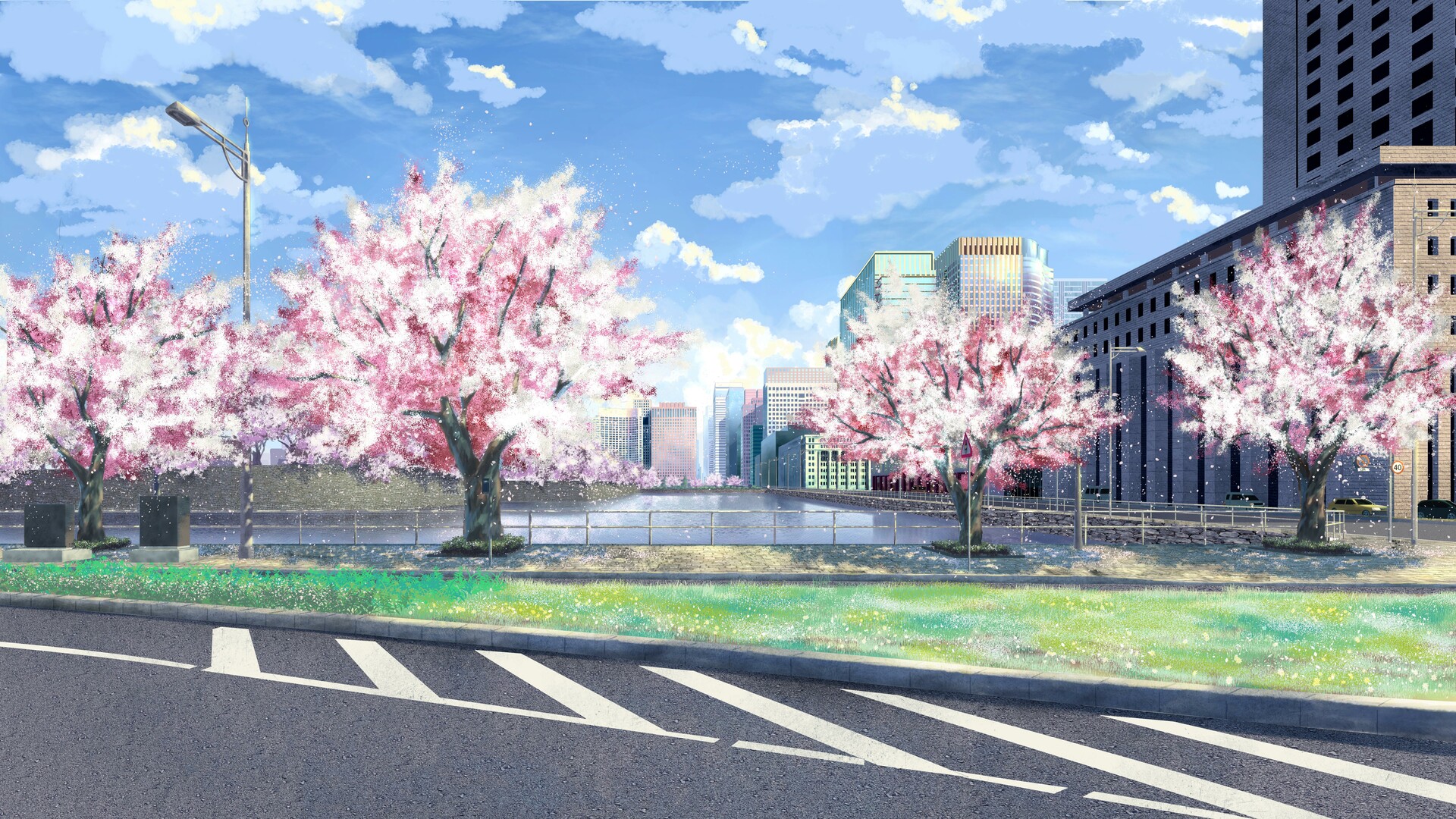 Sakura street.