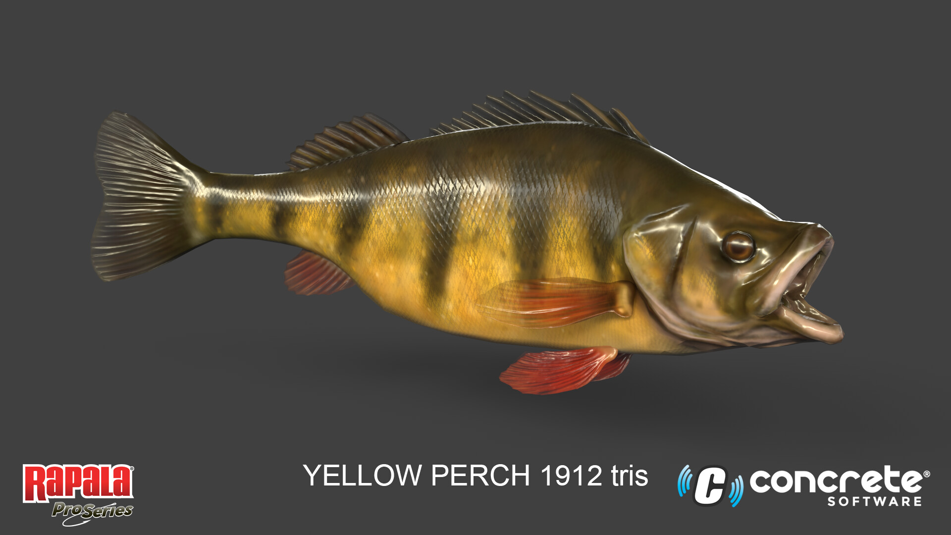 ArtStation - Rapala Fishing Pro Series Yellow Perch