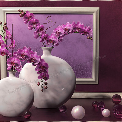 Lizzie prusaczyk d9s co orchid zen sf